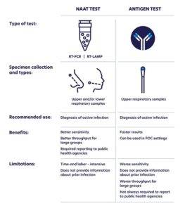 Understanding PCR Tests